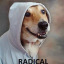 sanctuaryrose