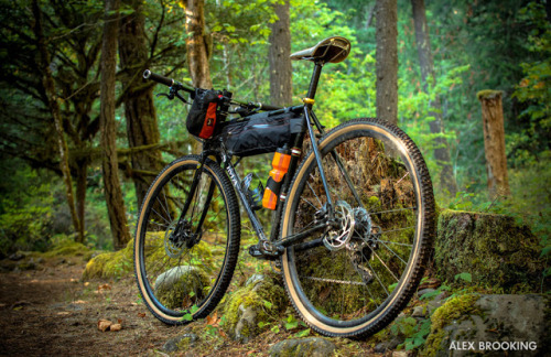 bikesandgirlsandmacsandstuff: (via Soma Feed: Photo Contest Winners)