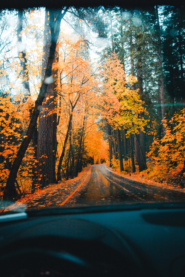 Autumnal Soul on Tumblr