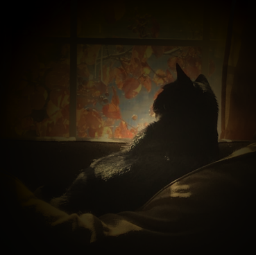 starkey:Friendly Neighbourhood WitchI’m lucky enough to play Urban Shadows with @mysunfreckle as my 