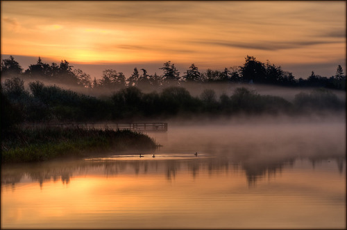 Sunrise Mist at Swan Lake by TT_MAC on Flickr.