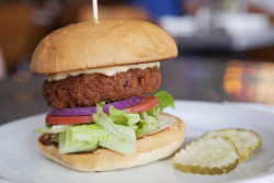 im-horngry:  Vegan Cheeseburgers - As Requested! 