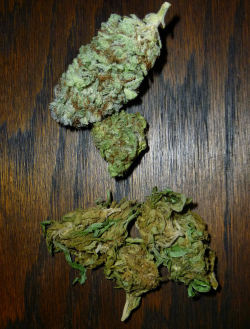 shesmokesbong:  I like how the blakberry makes that stuff look like grass lol