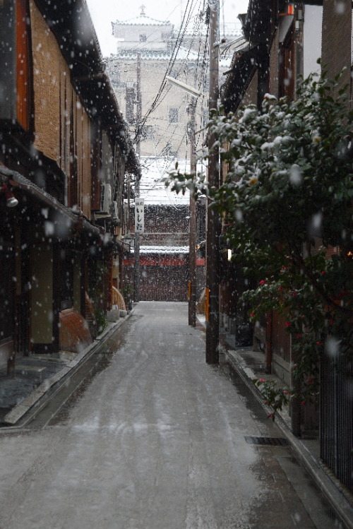 daitao:  by なおくん  