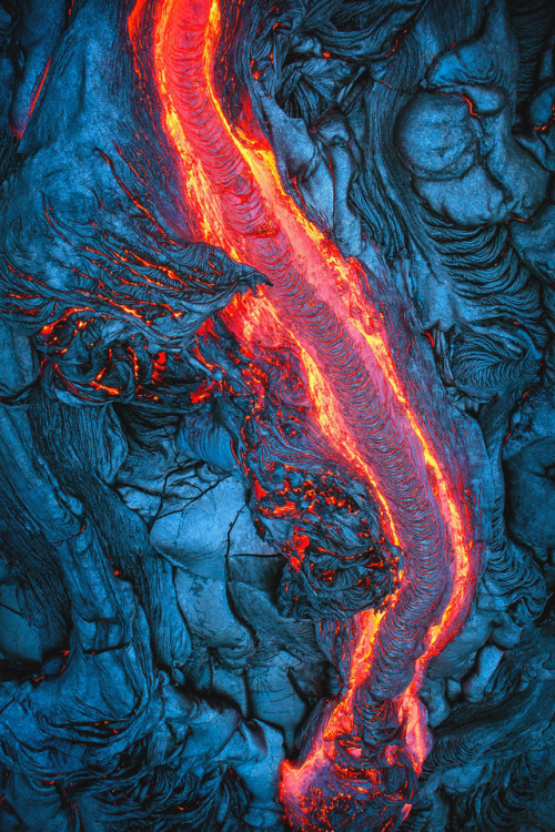 souhailbog: The Earth Eater By Ian Plant 
