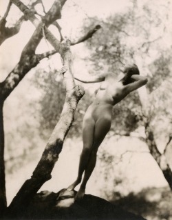 grandma-did:Edwin Bower Hesser 