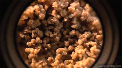weedporndaily:  fresh headies (x)