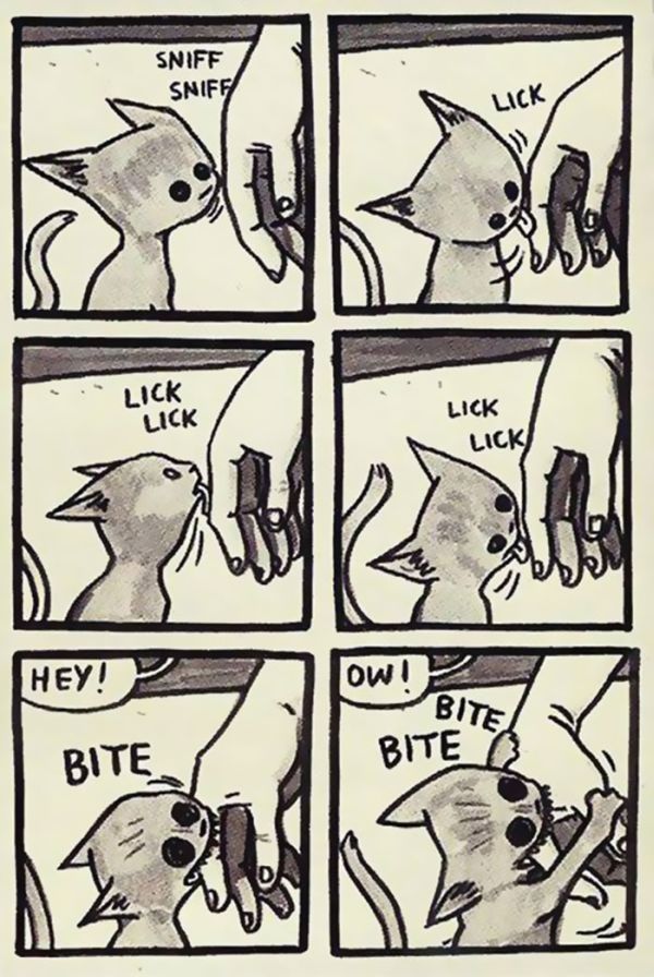 lurkdusoleil:  glitterdammerung:  jeniphyer:  pr1nceshawn:  What it’s like to have
