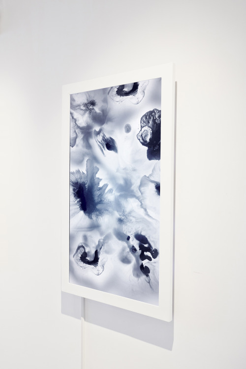 opcion:Desmond Leung
