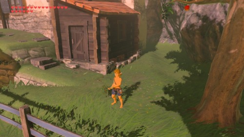 The Small Wooden Sheds Behind Links (and The Other Villagers In Hateno) House Is A Sauna - And You Cant