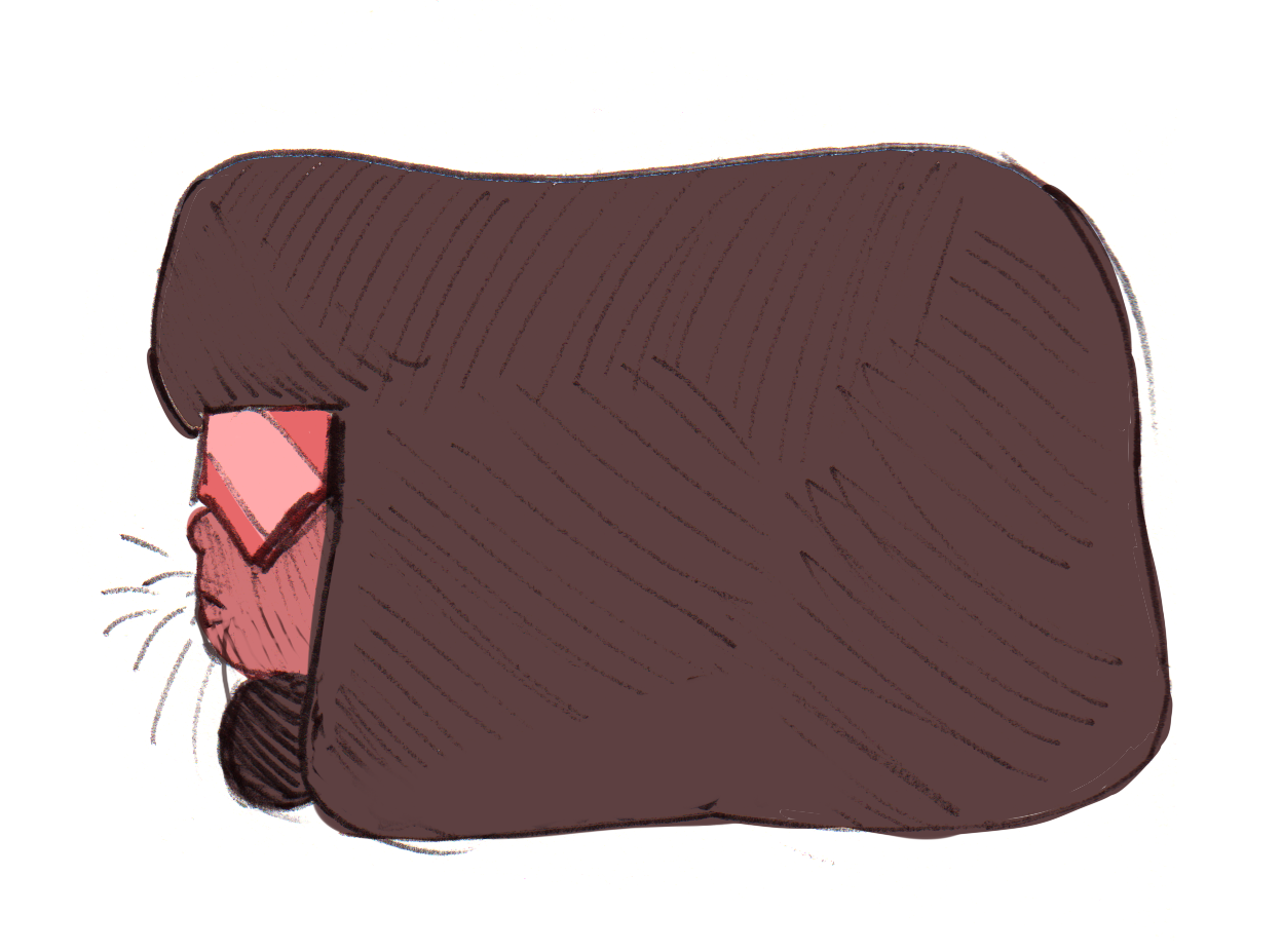 three-legged-cow:  Steven Guineaverse  &gt; u&lt;