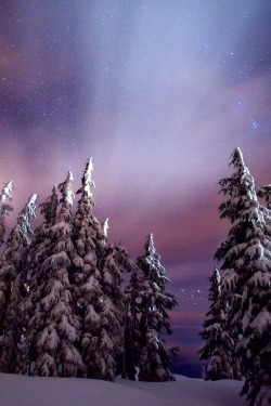 wolverxne:  Winters Night | by: Darren White 