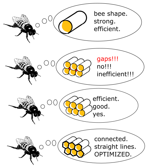 pervocracy: Why beehives are hexagons.