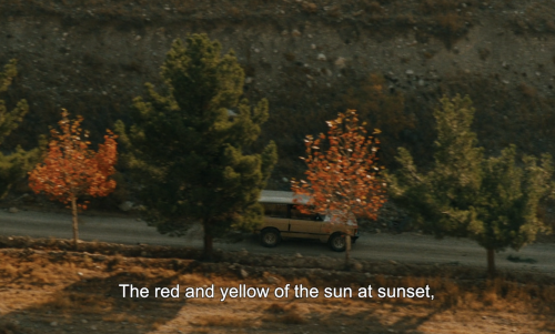 filmaticbby:Taste of Cherry (1997) dir. Abbas Kiarostami