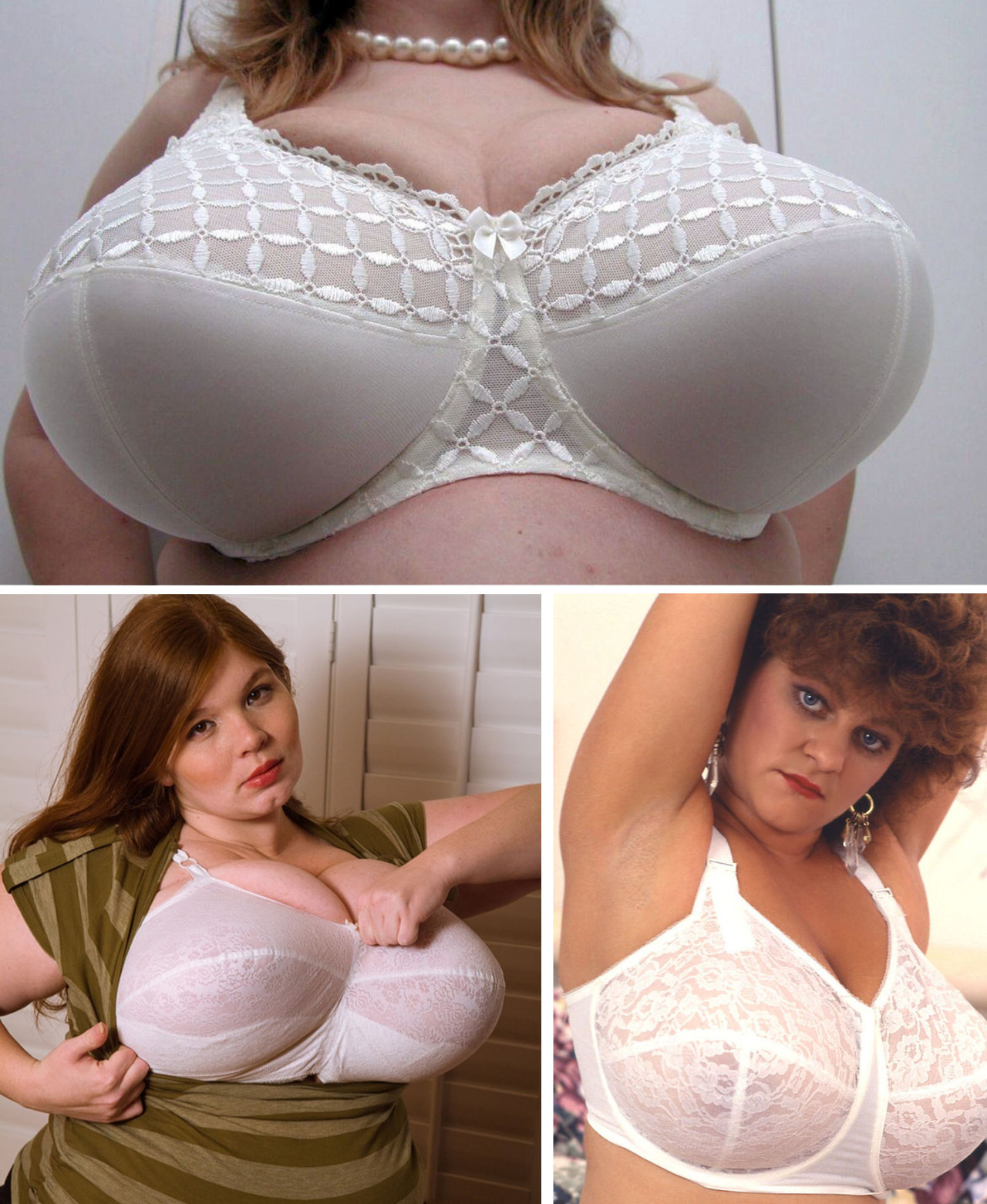 nobreasttoobig:  Lots of big tits in big bras…
