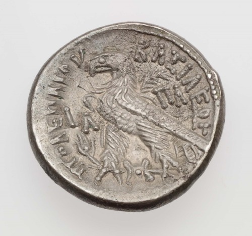 Tetradrachm of Kingdom of Egypt with head of Ptolemy I Soter (obverse) and eagle (reverse), struck u