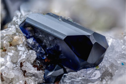 underthescopemineral:  Azurite, Cerussite               Cu3(CO3)2(OH)2PbCO3Locality:Tsumeb Mine (Tsumcorp Mine), Tsumeb, Oshikoto Region (Otjikoto Region), NamibiaLargest Crystal Size: 3.4 mmA monoclinic crystal, of the “prismatic” type, blue,