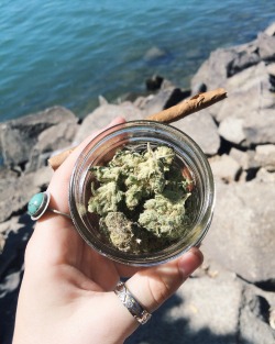 theycallmehaleyjayy:  Dutch Master on the