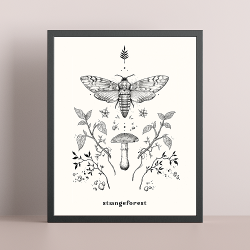 “Death Moth” 8x10 Print by Strangeforest