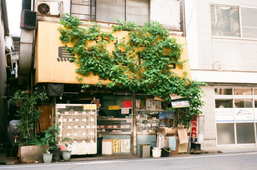 hisafoto: 西武新宿線と 12 Tokyo Voigtländer Vito II FUJI業務100 西武新宿線とシリーズ