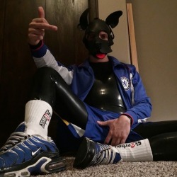usneaky: puphaze:  Chavy rubber pup 🐶🐾👟  Suits him well. There’s an alpha inside. 