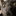 you-gon-die-son:  deathnotefansite:  darkzero456:  You know shit just got real when