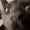 you-gon-die-son:  deathnotefansite:  darkzero456:  You know shit just got real when