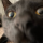 you-gon-die-son:  deathnotefansite:  darkzero456:  You know shit just got real when