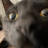 you-gon-die-son:  deathnotefansite:  darkzero456:  You know shit just got real when