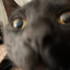 you-gon-die-son:  deathnotefansite:  darkzero456:  You know shit just got real when