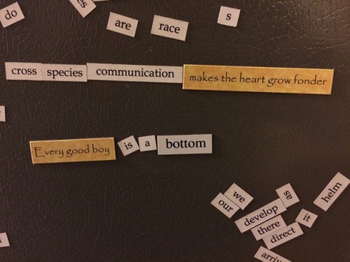 our house has four fridge poetry sets: erotic fridge poetry (gift from my mother), star trek fridge 