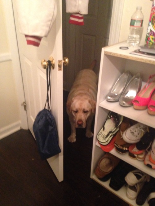taggedrne:  bubba doesn’t know how to walk through halfway opened doors and accepted his defeat