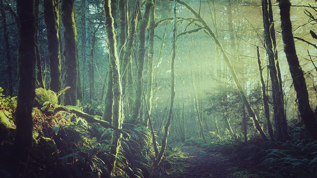 englishsnow:  devildoe   I need to be there right now
