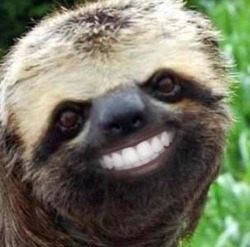 my brothers contact photo lol #stupid #sloth