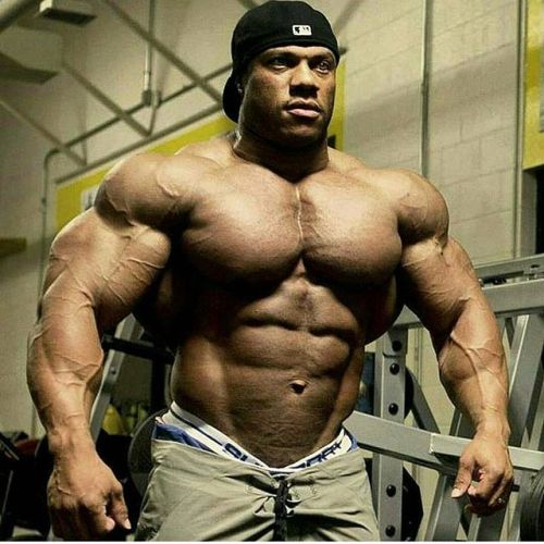 drwannabe:  Phil Heath 