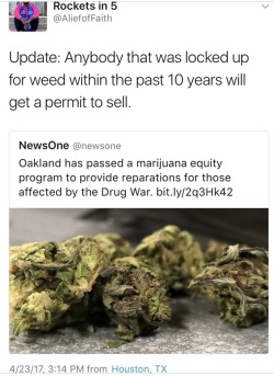 adrianianam:  bittertits:  llleighsmith: http://www.eastbaytimes.com/2017/03/08/oakland-ground-breaking-pot-permit-program-takes-shape/ “business owners and those new to Oakland say the changes have moved the needle too far in the other direction, and