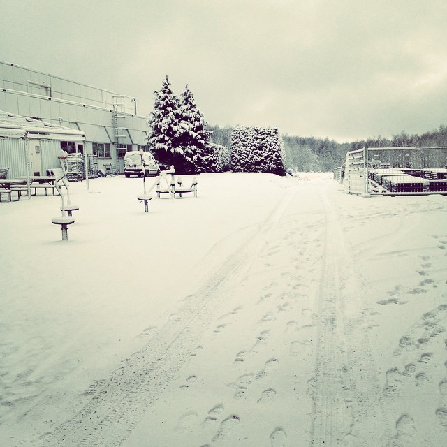 It never gets old ☺️❄️ #snow #winterwonderland #Belgium #white #work #love