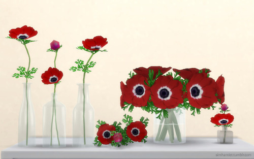 Anemone SetDropbox download:Anemone Glass Vase (836 LOD0)Anemone Bud Vase (594 LOD0)Anemone Stems (7