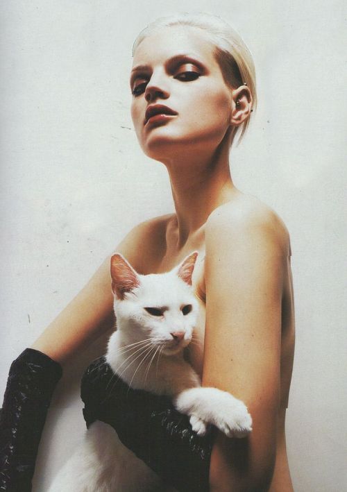 lisa401971:“GLAMOURPUSS” Guinevere Van Seenus by Vincent Peters |The Face - November 199