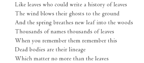 catilinas:the mortal hero, seth schein / iliad 2.486, iliad 8.306-8 tr. caroline alexander / spring 