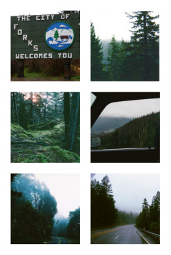 paternalpadfoot:  The Twilight Saga Challenge: 3 locations- Forks, Washington“In the Olympic Peninsula of northwest Washington State, a small town named Forks exists under a near- constant cover of clouds.”