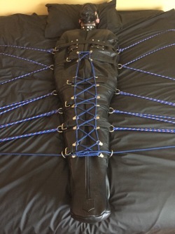 feelingknottycda:  A study in blue and black. This boy loves his gags and muzzles and had never been in a sleepsack before. He made such adorable moaning sounds as the reality of his helplessness sunk in.