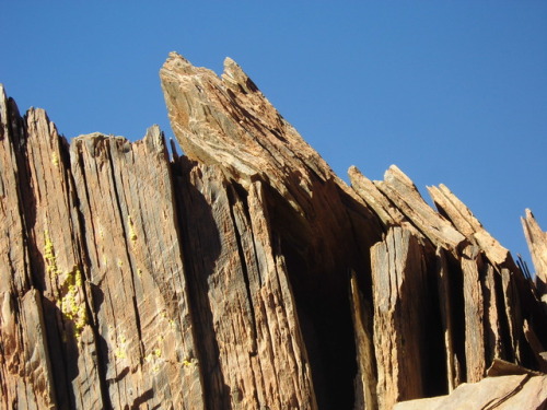 Fieldwork on Antofagasta de la Sierra (Northern Argentina).