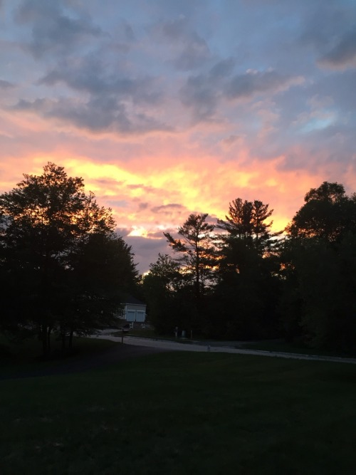 myphotoqraphy:  And of course, some shots. Best pictures don’t need any editing