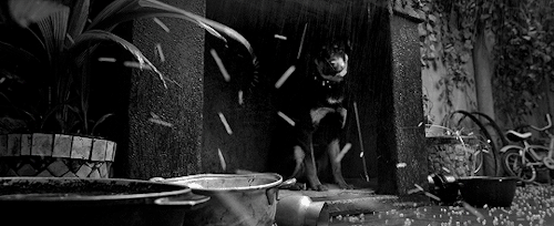 reese-witherspoon: “We are alone. No matter what they tell you, we women are always alone.” Roma (2018) dir. Alfonso Cuarón 