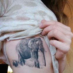 Procrastinatorsunite-Tomorrow:  Still Majorly In Love With My Elephants