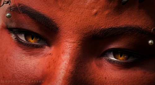 A Short Series With Companions' Eyes