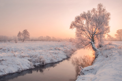 magic-spelldust:Snowy Pastel Winter Scenes by Katarzyna Gritzmann