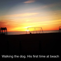 alphabetj0nes:  My little boy and I went for a walk tonight. He was a hit. We’ll definitely be frequenting the pier this year. #cutedog #puppy #lakemichigan #puremichigan