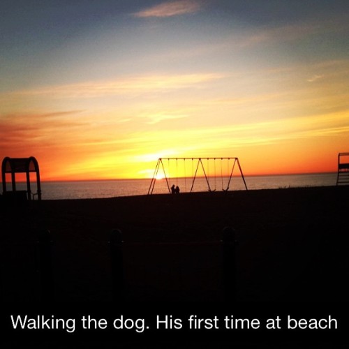 alphabetj0nes:  My little boy and I went for a walk tonight. He was a hit. We’ll definitely be frequenting the pier this year. #cutedog #puppy #lakemichigan #puremichigan